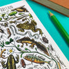 Alexia Claire Ponds of Britain | Postcard | Conscious Craft